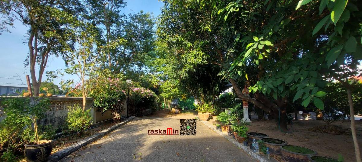 KT0502 ขายบ้านเดี่ยวพร้อมที่ดินผืนใหญ่ในซอยนาเกลือ ทำเลศักยภาพ ใกล้ทะเล ใกล้เมือง เหมาะทั้งอยู่อาศัยและลงทุน