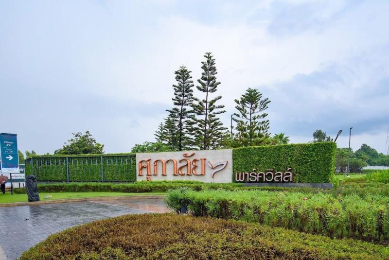 banner-project-details