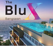 banner-project-details