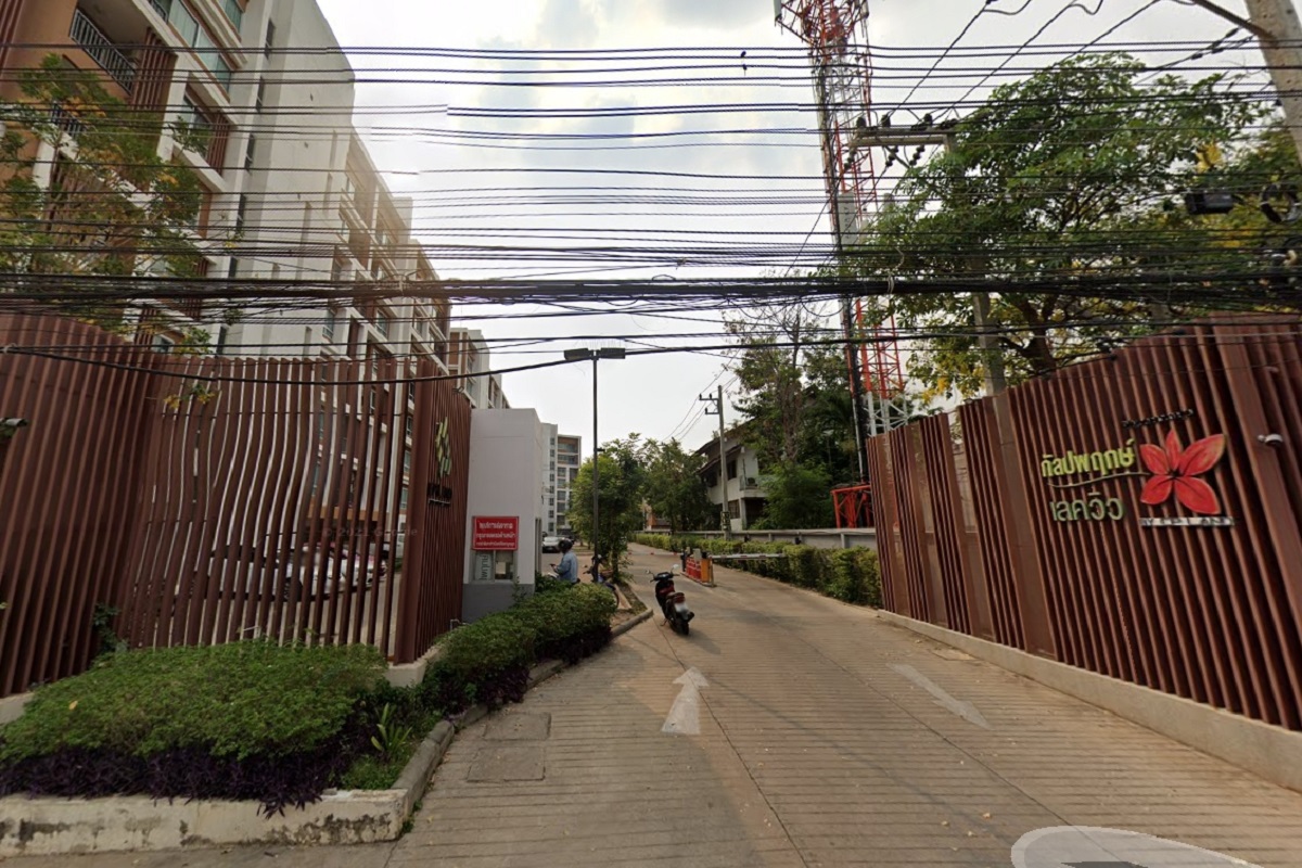 กัลปพฤกษ์-เลควิว