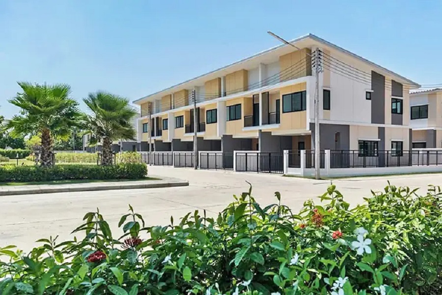 พฤกษาพรรณ-กระดีเดียว-3