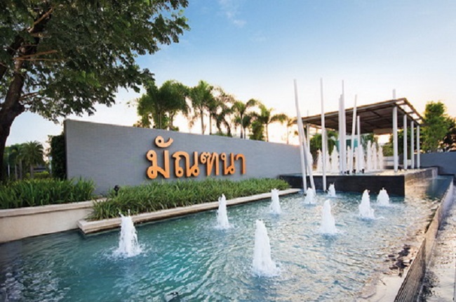 banner-project-details