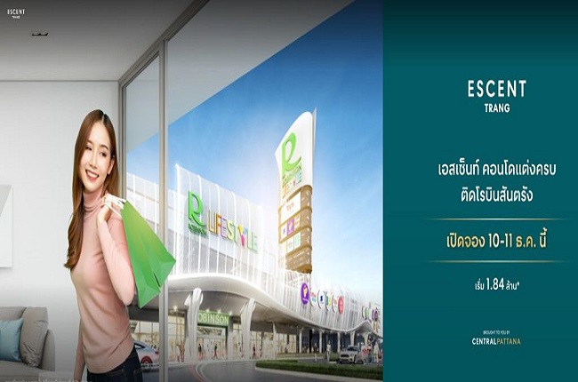 banner-project-details