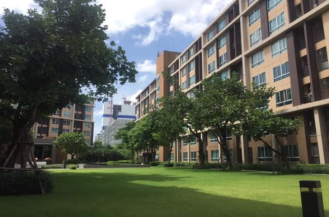 banner-project-details