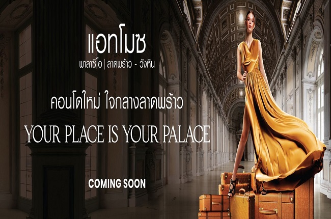 banner-project-details