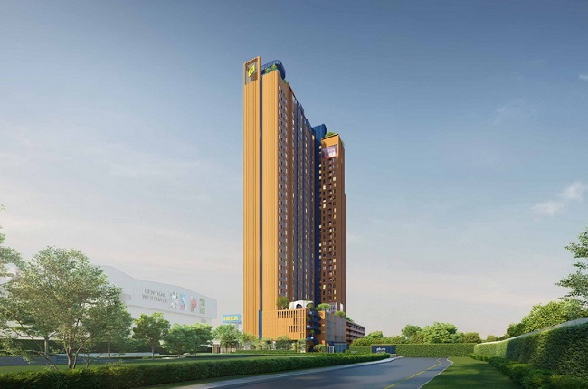 banner-project-details