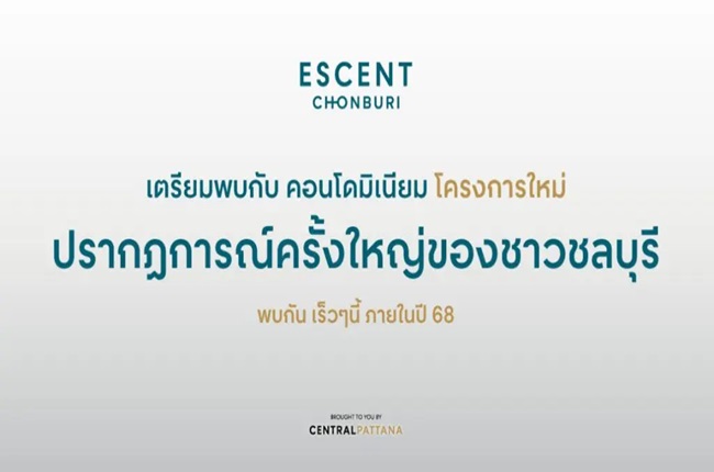 banner-project-details