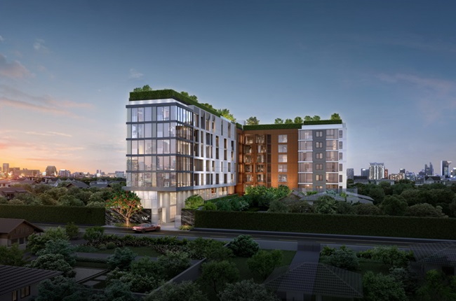 banner-project-details