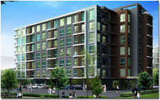 banner-project-details